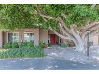 Charming home featuring a red door, mature landscaping, and a beautiful, shady tree in the front yard at 7302 E Rose Ln, Scottsdale, AZ 85250