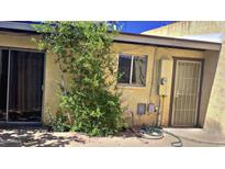 Backyard featuring a covered patio and mature landscaping at 3404 W Tangerine Ln, Phoenix, AZ 85051