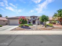 Charming desert home displaying a beautifully landscaped front yard with xeriscaping at 15539 W La Salinas Ln, Surprise, AZ 85374