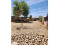Large gravel yard with a tree, leading up to a single story home under a bright sky at 2825 E Adams St, Phoenix, AZ 85034