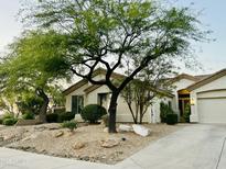 Charming home featuring desert landscaping with mature trees and a paved driveway at 7214 E Rustling Pass, Scottsdale, AZ 85255