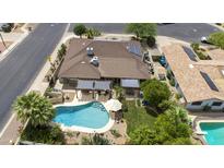 Aerial view of backyard featuring pool, patio, and well-maintained landscaping at 1656 W Meseto Cir, Mesa, AZ 85202