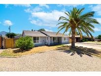 Charming single-story home with desert landscaping, a palm tree, and a neutral-tone exterior at 1531 S Padre Rd, Apache Junction, AZ 85119