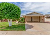 Charming single-story home featuring a covered carport, well-maintained lawn, and mature shade tree at 10724 W Cheryl Dr, Sun City, AZ 85351