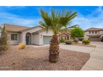 Charming home featuring a well-manicured front yard with gravel landscaping and a palm tree at 695 S 221St Dr, Buckeye, AZ 85326
