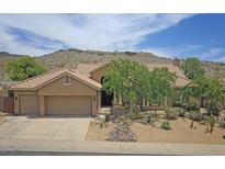 Beautiful one-story home with lush trees, desert landscaping and a three car garage at 16219 S 14Th Way, Phoenix, AZ 85048