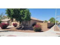Charming single-Gathering home with a well-maintained front yard featuring colorful bushes and a mature tree at 2202 S 82Nd Ave, Phoenix, AZ 85043