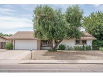 Charming single-story home with a two-car garage and mature shade tree in the front yard at 4443 W Acoma Dr, Glendale, AZ 85306