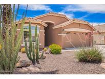 Southwest home featuring desert landscaping, including cacti, rocks, and flowering bushes at 3913 E Derringer Way, Gilbert, AZ 85297