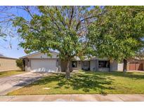 Charming single-story home with a lush front yard and mature trees offering shade at 1540 E Glencove St, Mesa, AZ 85203