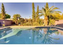 Backyard pool featuring a clean pool and landscaping with a palm tree that is reflecting on the water at 3212 E Desert Cove Ave, Phoenix, AZ 85028