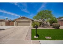 Charming single-story home featuring a well-maintained lawn, mature tree, and a two-car garage at 15038 N 22Nd St, Phoenix, AZ 85022