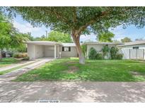 Charming single-story home with mature shade tree, lush front lawn, and attached carport at 302 E Orange Dr, Phoenix, AZ 85012
