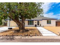 Charming single-story home featuring a tire swing, tidy desert landscaping, and white brick exterior at 3038 E Avalon Dr, Phoenix, AZ 85016
