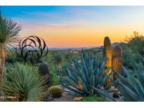 Sunset view of the Arizona desert landscape featuring cacti, native plants, and a unique modern art sculpture at 39032 N 101St Way, Scottsdale, AZ 85262