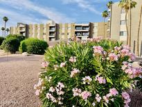 Beautiful view of the exterior with flowering bushes and palm trees under a sunny blue sky at 425 S Parkcrest -- # 323, Mesa, AZ 85206
