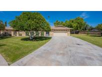 Charming single-story home with a well-maintained lawn and mature shade tree with a private two-car garage at 10644 W Campana Dr, Sun City, AZ 85351