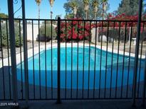 Backyard pool surrounded by mature bougainvillea plants and palm trees adds privacy and beauty at 3730 W North Ln, Phoenix, AZ 85051