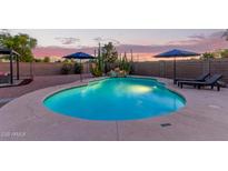 Inviting pool area with mature cacti, a rock water feature, and lounge chairs perfect for relaxing on a warm day at 4049 E Arbor Ave, Mesa, AZ 85206