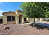 Charming single-story home with manicured desert landscaping and a mature shade tree at 11746 W Camino Vivaz --, Sun City, AZ 85373