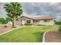 Well-manicured front yard with a large palm tree, lush green grass, and a classic single-story home at 327 E La Jolla Dr, Tempe, AZ 85282