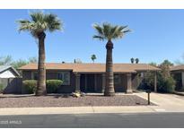 Charming single-story home with palm trees, desert landscaping, and a welcoming front entrance at 1018 W Helena Dr, Phoenix, AZ 85023