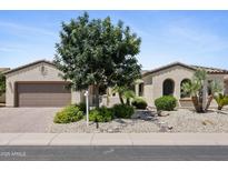 Charming single-story home with well-manicured landscaping, desert rock, and a mature shade tree at 18634 N Paloma Ct, Surprise, AZ 85387