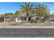 Charming single-story home featuring mature palm trees, a well-maintained yard, and solar panels on the roof at 5232 E Dodge St, Mesa, AZ 85205