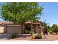 Charming single-story home with a well-maintained front yard and mature tree providing shade at 1461 W Brangus Way, San Tan Valley, AZ 85143
