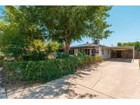 Charming single-story home featuring a lush, mature tree and covered carport at 4629 N 9Th St, Phoenix, AZ 85014