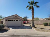 Charming single-story home with a well-manicured yard and a beautiful palm tree at 14602 S 47Th St, Phoenix, AZ 85044