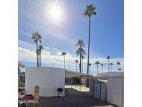 Charming home exterior featuring a carport, palm trees and beautiful Arizona sky at 25 S 102Nd St # 92, Mesa, AZ 85208