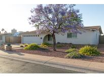 Charming single-story home featuring a well-manicured front yard and a flowering tree for added curb appeal at 1894 E Julie Dr, Tempe, AZ 85283