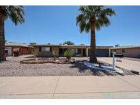 Charming single-story brick home featuring desert landscaping and mature palm trees for added curb appeal at 6449 E Ellis St, Mesa, AZ 85205