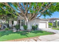 Charming single-story home featuring a well-manicured front lawn and mature shade tree at 8760 N 73Rd Way, Scottsdale, AZ 85258