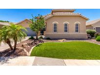 Well-manicured front yard featuring green lawn, rock landscaping, and a mature palm tree for added curb appeal at 2759 E Balsam Dr, Chandler, AZ 85286