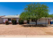 Charming single-story home with well-maintained landscaping and a mature shade tree at 230 E Fairmont Dr, Tempe, AZ 85282