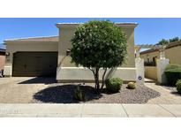 Inviting home with a well-manicured yard, mature tree, and a desert landscape at 562 E Vesper Trl, Queen Creek, AZ 85140