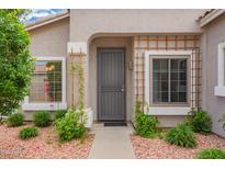 Inviting front entrance with security door, desert landscaping, and decorative window boxes at 6300 S Nash Way, Chandler, AZ 85249