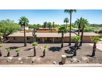 View of a desert home surrounded by mature palm trees and featuring a desert landscape at 7101 E Cholla St, Scottsdale, AZ 85254