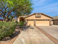 Charming home featuring a well-manicured yard, mature tree, and a two-car garage in a sunny neighborhood at 6255 S Opal Dr, Chandler, AZ 85249