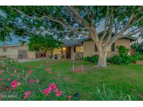Charming home featuring a mature shade tree with a playful tree swing in a lush front yard at 803 W 18Th St, Tempe, AZ 85281