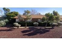 Charming single-story home with manicured landscaping and mature trees providing shade and curb appeal at 6717 N 15Th Pl, Phoenix, AZ 85014