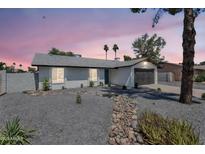 Charming single-story home with a well-manicured, low maintenance front yard, and a dark gray garage door at 13224 N 31St Pl, Phoenix, AZ 85032