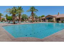 Large community pool surrounded by palm trees and lounge chairs, with nearby residential buildings at 1367 S Country Club S Dr # 1125, Mesa, AZ 85210