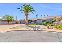 Charming single-story home featuring mature landscaping, a long driveway, and a desert-style front yard at 4363 E Dragoon Cir, Mesa, AZ 85206