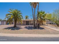Charming single-story home featuring desert landscaping, a covered porch, and mature palm trees at 1124 S Longwood Loop, Mesa, AZ 85208