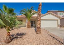 Charming single-story home with a well-manicured front yard and mature palm trees adding a tropical touch at 17649 N Vera Cruz Ave, Maricopa, AZ 85139