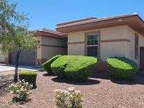 Charming single-story home featuring a well-maintained yard and neutral color scheme at 18617 W Williams St, Goodyear, AZ 85338