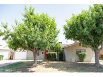 Charming single-story home with mature trees and a well-maintained lawn at 1412 W 7Th Pl, Tempe, AZ 85281